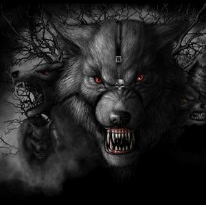 Meet your Posher, Greg